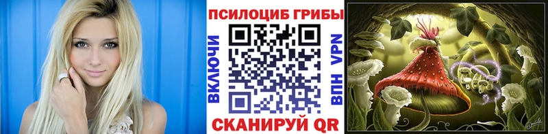кракен   Юрьев-Польский  Псилоцибиновые грибы GOLDEN TEACHER  сколько стоит 